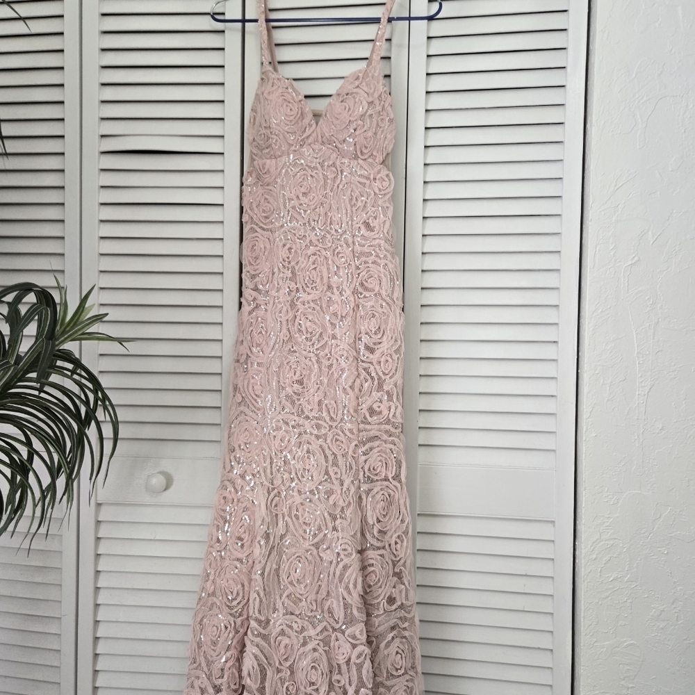 Blush Maxi Dress